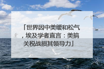 世界因中美缓和松气，埃及学者直言：美搞关税战损其领导力