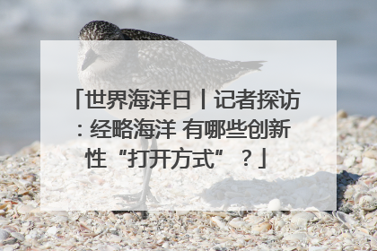 世界海洋日丨记者探访：经略海洋 有哪些创新性“打开方式”？