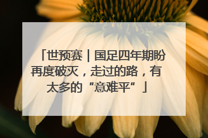 世预赛｜国足四年期盼再度破灭，走过的路，有太多的“意难平”