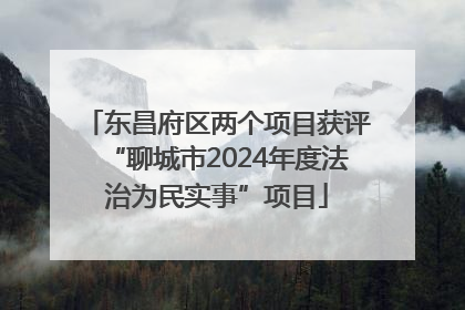 东昌府区两个项目获评“聊城市2024年度法治为民实事”项目