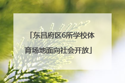 东昌府区6所学校体育场地面向社会开放