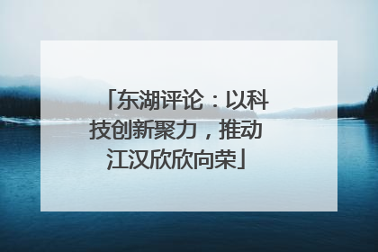 东湖评论：以科技创新聚力，推动江汉欣欣向荣