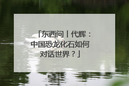 东西问丨代辉：中国恐龙化石如何对话世界？