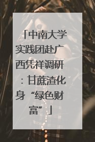中南大学实践团赴广西凭祥调研：甘蔗渣化身“绿色财富”