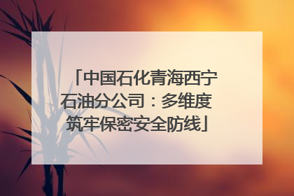 中国石化青海西宁石油分公司：多维度筑牢保密安全防线