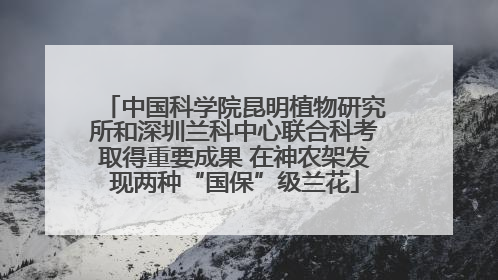 中国科学院昆明植物研究所和深圳兰科中心联合科考取得重要成果 在神农架发现两种“国保”级兰花