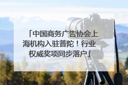 中国商务广告协会上海机构入驻普陀！行业权威奖项同步落户