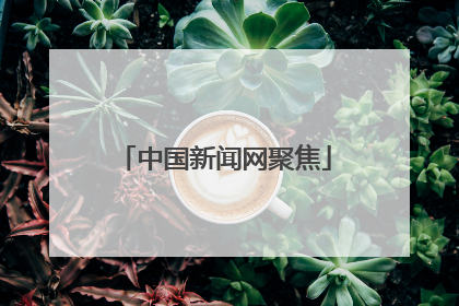 中国新闻网聚焦