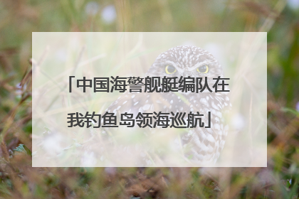 中国海警舰艇编队在我钓鱼岛领海巡航