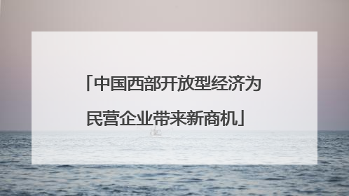 中国西部开放型经济为民营企业带来新商机