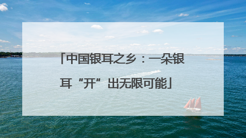中国银耳之乡：一朵银耳“开”出无限可能