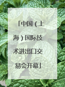 中国（上海）国际技术进出口交易会开幕