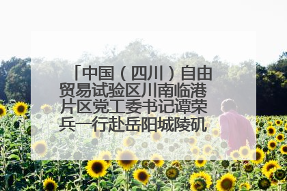 中国（四川）自由贸易试验区川南临港片区党工委书记谭荣兵一行赴岳阳城陵矶综保区考察