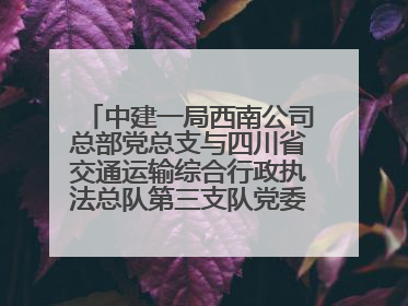 中建一局西南公司总部党总支与四川省交通运输综合行政执法总队第三支队党委、万源市草坝镇莲花院村党支部开展党建联建