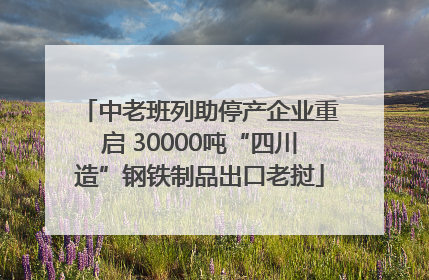 中老班列助停产企业重启 30000吨“四川造”钢铁制品出口老挝