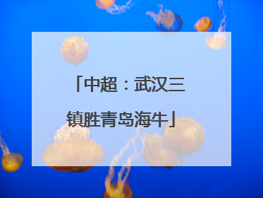 中超：武汉三镇胜青岛海牛