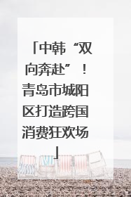 中韩“双向奔赴”！青岛市城阳区打造跨国消费狂欢场