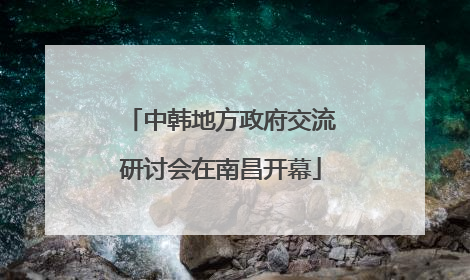 中韩地方政府交流研讨会在南昌开幕
