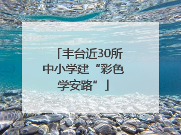 丰台近30所中小学建“彩色学安路”