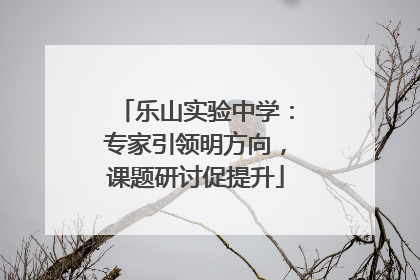 乐山实验中学：专家引领明方向，课题研讨促提升