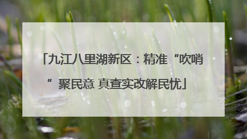 九江八里湖新区：精准“吹哨”聚民意 真查实改解民忧