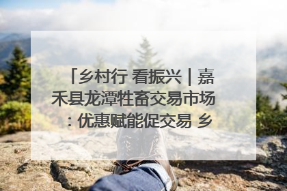 乡村行 看振兴｜嘉禾县龙潭牲畜交易市场：优惠赋能促交易 乡村振兴添动能