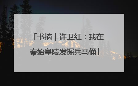 书摘｜许卫红：我在秦始皇陵发掘兵马俑