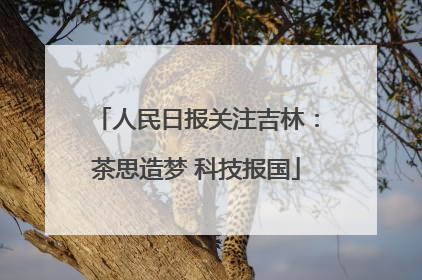 人民日报关注吉林：茶思造梦 科技报国