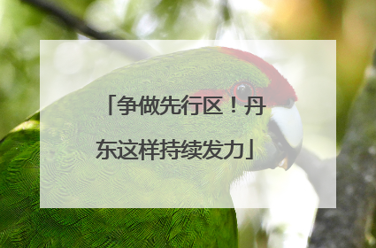 争做先行区！丹东这样持续发力