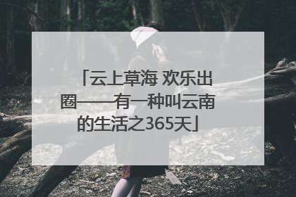 云上草海 欢乐出圈——有一种叫云南的生活之365天
