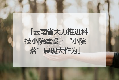 云南省大力推进科技小院建设：“小院落”展现大作为