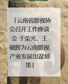 云南省影视协会召开工作座谈会 于荣光、王砚辉为云南影视产业发展出谋划策