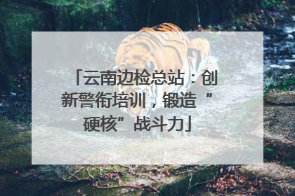 云南边检总站：创新警衔培训，锻造“硬核”战斗力
