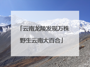 云南龙陵发现万株野生云南大百合