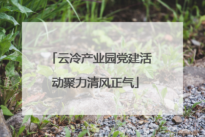 云冷产业园党建活动聚力清风正气