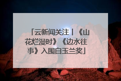 云新闻关注丨《山花烂漫时》《边水往事》入围白玉兰奖