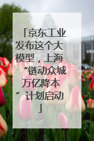 京东工业发布这个大模型，上海“链动众城 万亿降本”计划启动