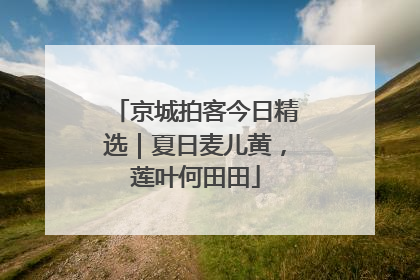 京城拍客今日精选｜夏日麦儿黄，莲叶何田田