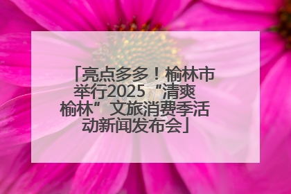 亮点多多！榆林市举行2025“清爽榆林”文旅消费季活动新闻发布会