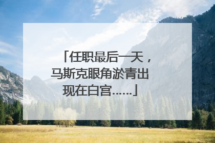 任职最后一天，马斯克眼角淤青出现在白宫……
