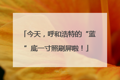 今天，呼和浩特的“蓝”底一寸照刷屏啦！