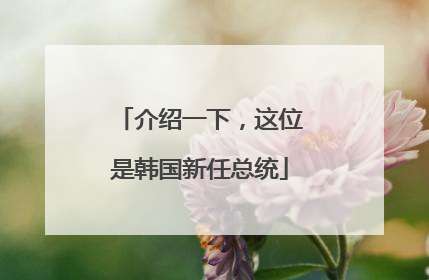 介绍一下，这位是韩国新任总统