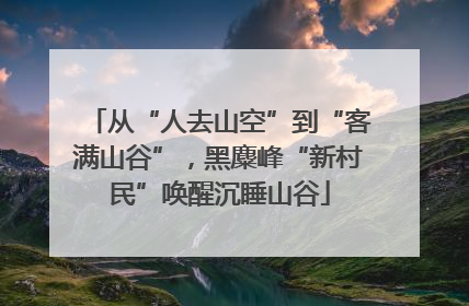 从“人去山空”到“客满山谷”，黑麋峰“新村民”唤醒沉睡山谷