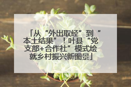 从“外出取经”到“本土结果”！叶县“党支部+合作社”模式绘就乡村振兴新图景