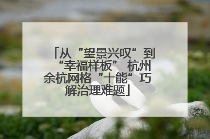 从“望景兴叹”到“幸福样板” 杭州余杭网格“十能”巧解治理难题