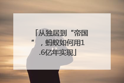 从独居到“帝国”，蚂蚁如何用1.6亿年实现
