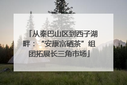 从秦巴山区到西子湖畔：“安康富硒茶”组团拓展长三角市场