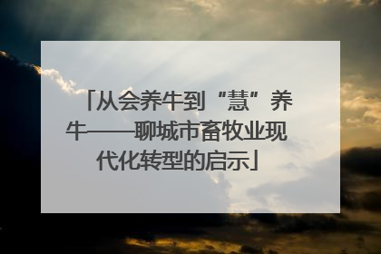从会养牛到“慧”养牛——聊城市畜牧业现代化转型的启示