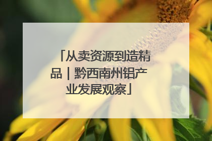 从卖资源到造精品｜黔西南州铝产业发展观察