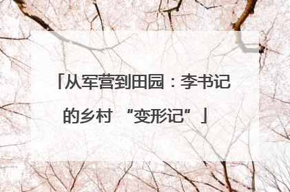 从军营到田园：李书记的乡村 “变形记”